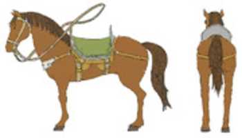 Free download Mocha Horse 2 free photo or picture to be edited with GIMP online image editor