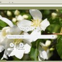 Mock Orange  screen for extension Chrome web store in OffiDocs Chromium