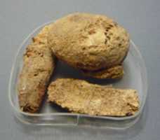 Free download Model Bread Loaf from the Foundation Deposit for Hatshepsuts Tomb free photo or picture to be edited with GIMP online image editor