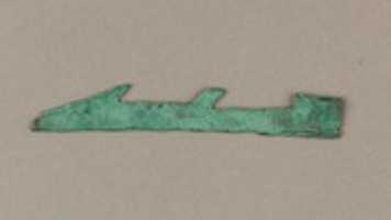 Free download Model harpoon free photo or picture to be edited with GIMP online image editor