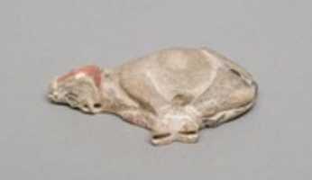 Free download Model of slaughtered ox free photo or picture to be edited with GIMP online image editor