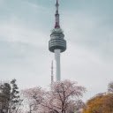 Modern Landmark Amidst Spring Bloom  screen for extension Chrome web store in OffiDocs Chromium