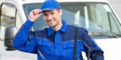 Free download Modesto Pest Control free photo or picture to be edited with GIMP online image editor