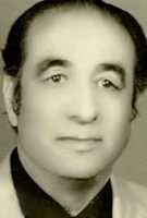 Free download Mohammadreza Zandi free photo or picture to be edited with GIMP online image editor