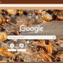 Moi  screen for extension Chrome web store in OffiDocs Chromium