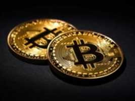 Free download MOJE BITCOIN MOJA WALUTA free photo or picture to be edited with GIMP online image editor