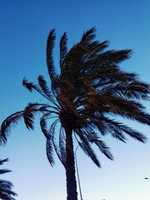 Free download Momento. free photo or picture to be edited with GIMP online image editor