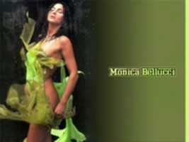 Free download Monica Belucci free photo or picture to be edited with GIMP online image editor