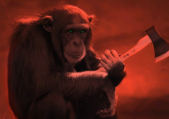Descargue gratis la imagen gratuita de retrato de mono animal enojado para editar con el editor de imágenes en línea gratuito GIMP