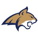 Montana State Athletics Theme  screen for extension Chrome web store in OffiDocs Chromium