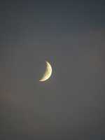 ດາວ​ໂຫຼດ​ຟຣີ Moon at Urbana (US) ຮູບ​ພາບ​ຫຼື​ຮູບ​ພາບ​ທີ່​ຈະ​ໄດ້​ຮັບ​ການ​ແກ້​ໄຂ​ທີ່​ມີ GIMP ອອນ​ໄລ​ນ​໌​ບັນ​ນາ​ທິ​ການ​ຮູບ​ພາບ​