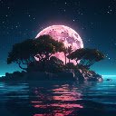 Moonlit Night on the Deserted Island  screen for extension Chrome web store in OffiDocs Chromium