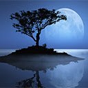 Moonlit Reflection  screen for extension Chrome web store in OffiDocs Chromium
