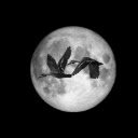 MOON Theme  screen for extension Chrome web store in OffiDocs Chromium