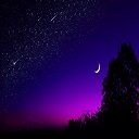Moon Tree HD Wallpapers Theme  screen for extension Chrome web store in OffiDocs Chromium