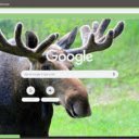 Moose  screen for extension Chrome web store in OffiDocs Chromium
