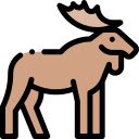 Moose in the Misty Meadow  screen for extension Chrome web store in OffiDocs Chromium