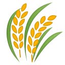 more harvest  screen for extension Chrome web store in OffiDocs Chromium