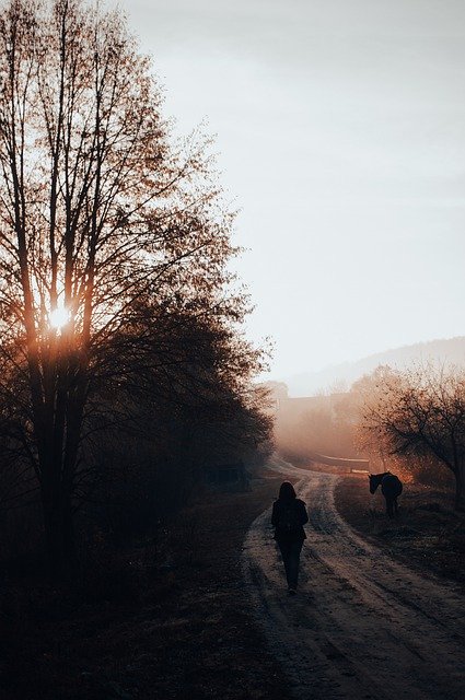 Bezpłatne pobieranie porannej jesiennej młodej kobiety natura darmowe zdjęcie do edycji za pomocą bezpłatnego edytora obrazów online GIMP