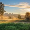 Morning meadow  screen for extension Chrome web store in OffiDocs Chromium