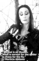 Free download Morticia Adams normality free photo or picture to be edited with GIMP online image editor