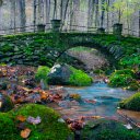 Mossy bridge  screen for extension Chrome web store in OffiDocs Chromium