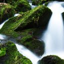 Mossy rocky mountains  screen for extension Chrome web store in OffiDocs Chromium