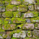 Mossy stone wall  screen for extension Chrome web store in OffiDocs Chromium