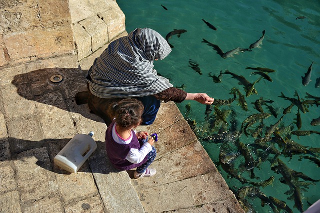 Free download motherhood kid fish feeding free picture to be edited with GIMP free online image editor
