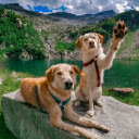 Mountain Adventure Pals  screen for extension Chrome web store in OffiDocs Chromium