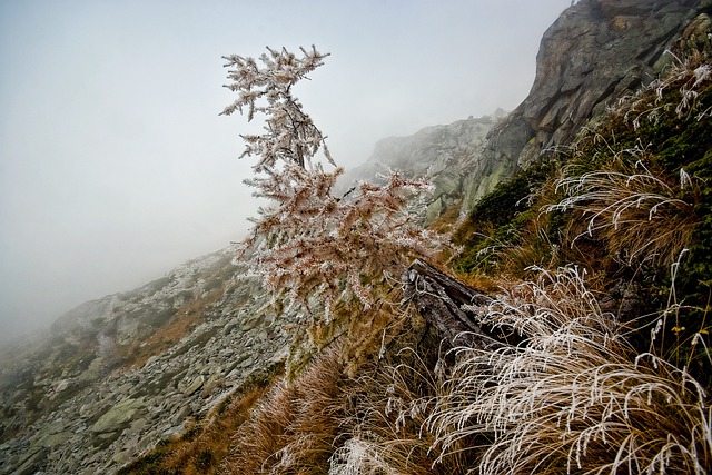 Muat turun percuma gunung alps musim luruh sejuk brina gambar percuma untuk diedit dengan GIMP editor imej dalam talian percuma