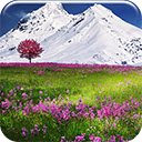 Pantalla Mountain Flowers para extensión Chrome web store en OffiDocs Chromium