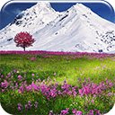 Mountain Flowers-scherm voor uitbreiding Chrome-webwinkel in OffiDocs Chromium