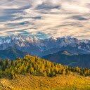 Mountain forest  screen for extension Chrome web store in OffiDocs Chromium