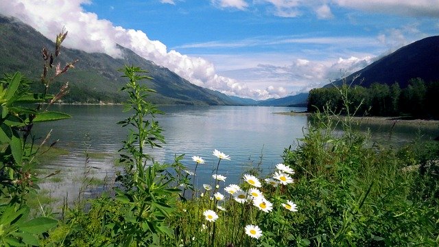Free download mountain lake nature sky daisies free picture to be edited with GIMP free online image editor
