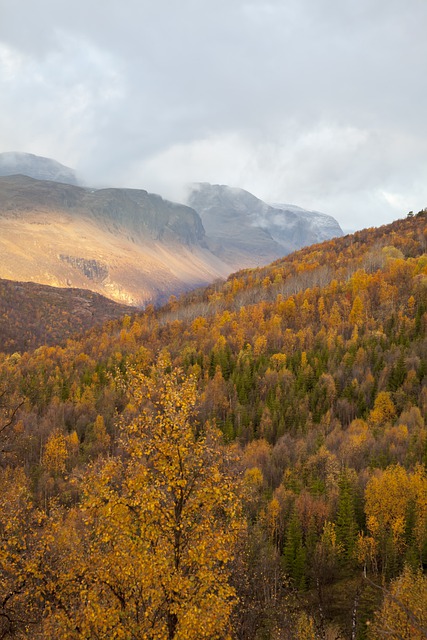 ดาวน์โหลดภาพฟรี ภูเขา lapland เนินเขาในฤดูใบไม้ร่วงเพื่อแก้ไขด้วยโปรแกรมแก้ไขรูปภาพออนไลน์ GIMP ฟรี