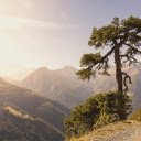 Mountain peek  screen for extension Chrome web store in OffiDocs Chromium