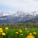 Mountains and Flowers  screen for extension Chrome web store in OffiDocs Chromium