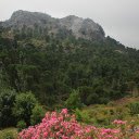 Mountains and flowers  screen for extension Chrome web store in OffiDocs Chromium