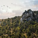 Mountains and hills and birds on the wing  screen for extension Chrome web store in OffiDocs Chromium