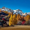 Mountains Covered in Snow and Autumn Trees  screen for extension Chrome web store in OffiDocs Chromium