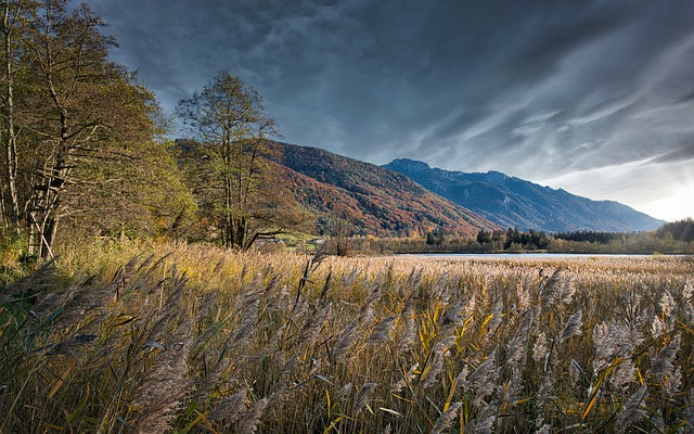 Скачать бесплатно горы поле на берегу озера тростник бесплатное изображение для редактирования с помощью бесплатного онлайн-редактора изображений GIMP
