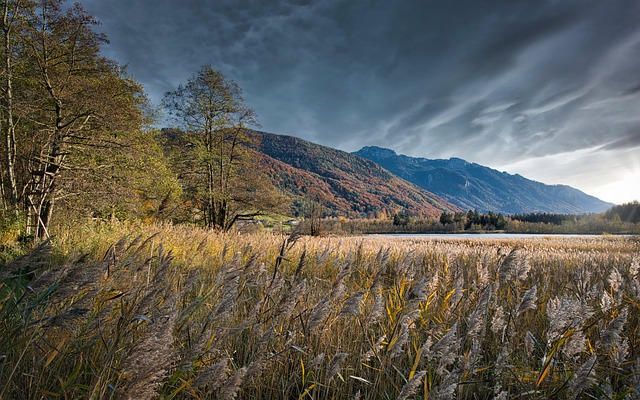 Free download mountains field lakeside reed free picture to be edited with GIMP free online image editor