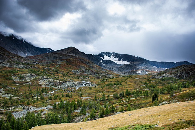 دانلود رایگان Mountains Forest Nature - عکس یا تصویر رایگان برای ویرایش با ویرایشگر تصویر آنلاین GIMP