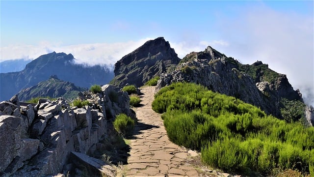 Free download mountains wood portugal island free picture to be edited with GIMP free online image editor