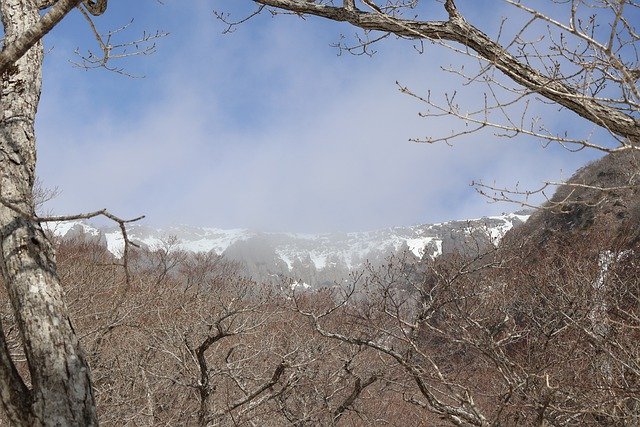 Free download mountain winter nature trees free picture to be edited with GIMP free online image editor