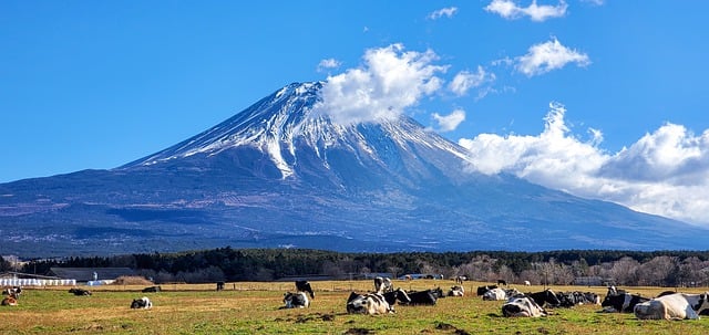 Scarica gratuitamente l'immagine gratuita di Mount Fuji Japan Landscape Travel da modificare con l'editor di immagini online gratuito GIMP