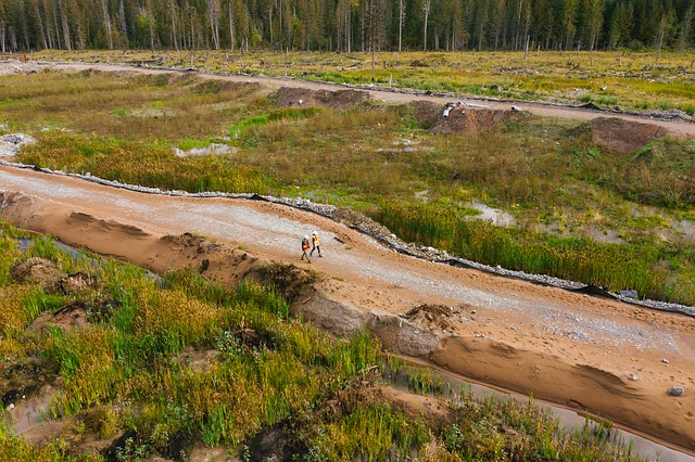 Free download mount polley environmental recovery free picture to be edited with GIMP free online image editor