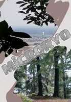 Free download mr-def_1 free photo or picture to be edited with GIMP online image editor