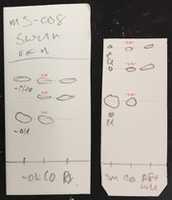 Free download MS 001 008a Aliquot B: 4 And Aft Wu free photo or picture to be edited with GIMP online image editor